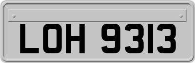 LOH9313
