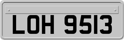LOH9513