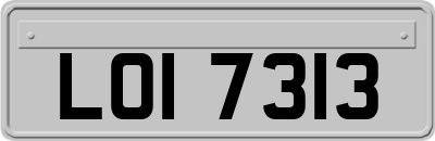 LOI7313