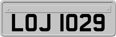 LOJ1029