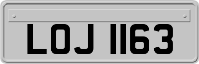 LOJ1163