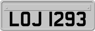LOJ1293