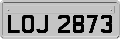 LOJ2873