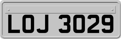 LOJ3029