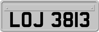 LOJ3813