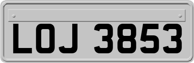 LOJ3853