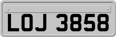 LOJ3858
