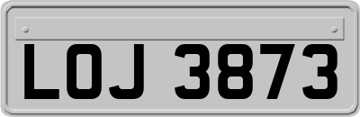 LOJ3873