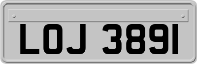 LOJ3891