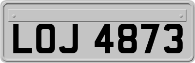 LOJ4873