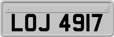 LOJ4917