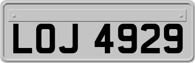 LOJ4929