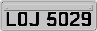 LOJ5029