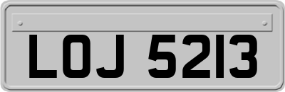 LOJ5213