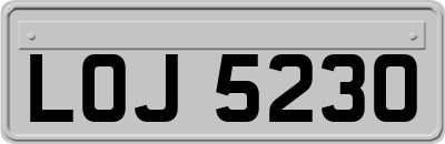 LOJ5230