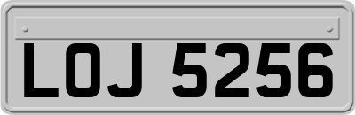 LOJ5256