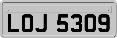 LOJ5309
