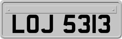 LOJ5313