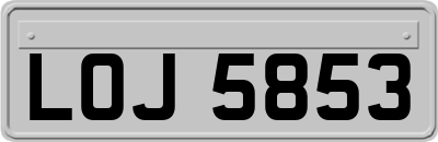 LOJ5853