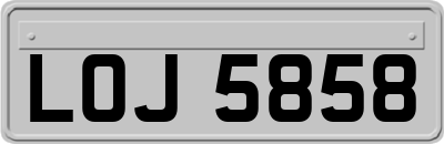 LOJ5858
