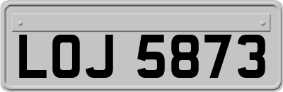 LOJ5873