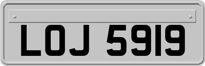 LOJ5919