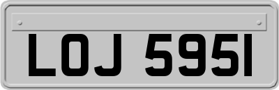 LOJ5951