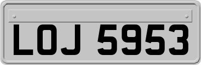 LOJ5953