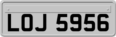 LOJ5956
