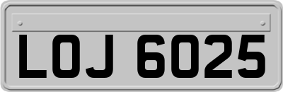 LOJ6025