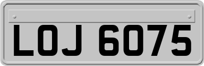 LOJ6075