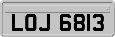 LOJ6813