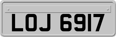 LOJ6917