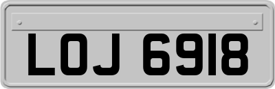 LOJ6918