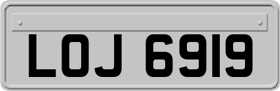 LOJ6919