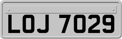 LOJ7029