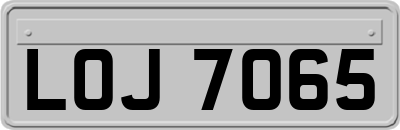 LOJ7065