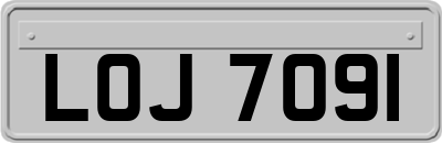 LOJ7091