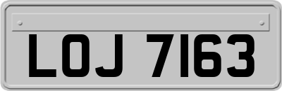 LOJ7163