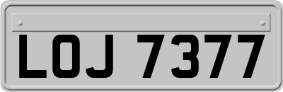 LOJ7377