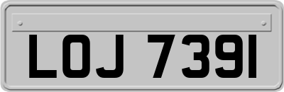 LOJ7391