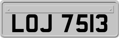 LOJ7513