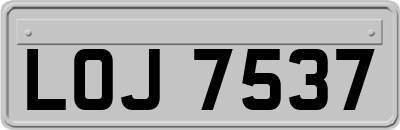 LOJ7537