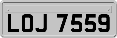 LOJ7559