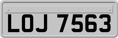 LOJ7563