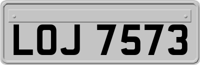 LOJ7573