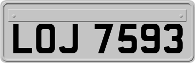 LOJ7593