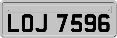 LOJ7596