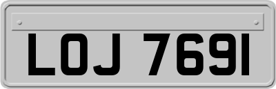 LOJ7691