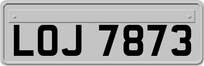 LOJ7873
